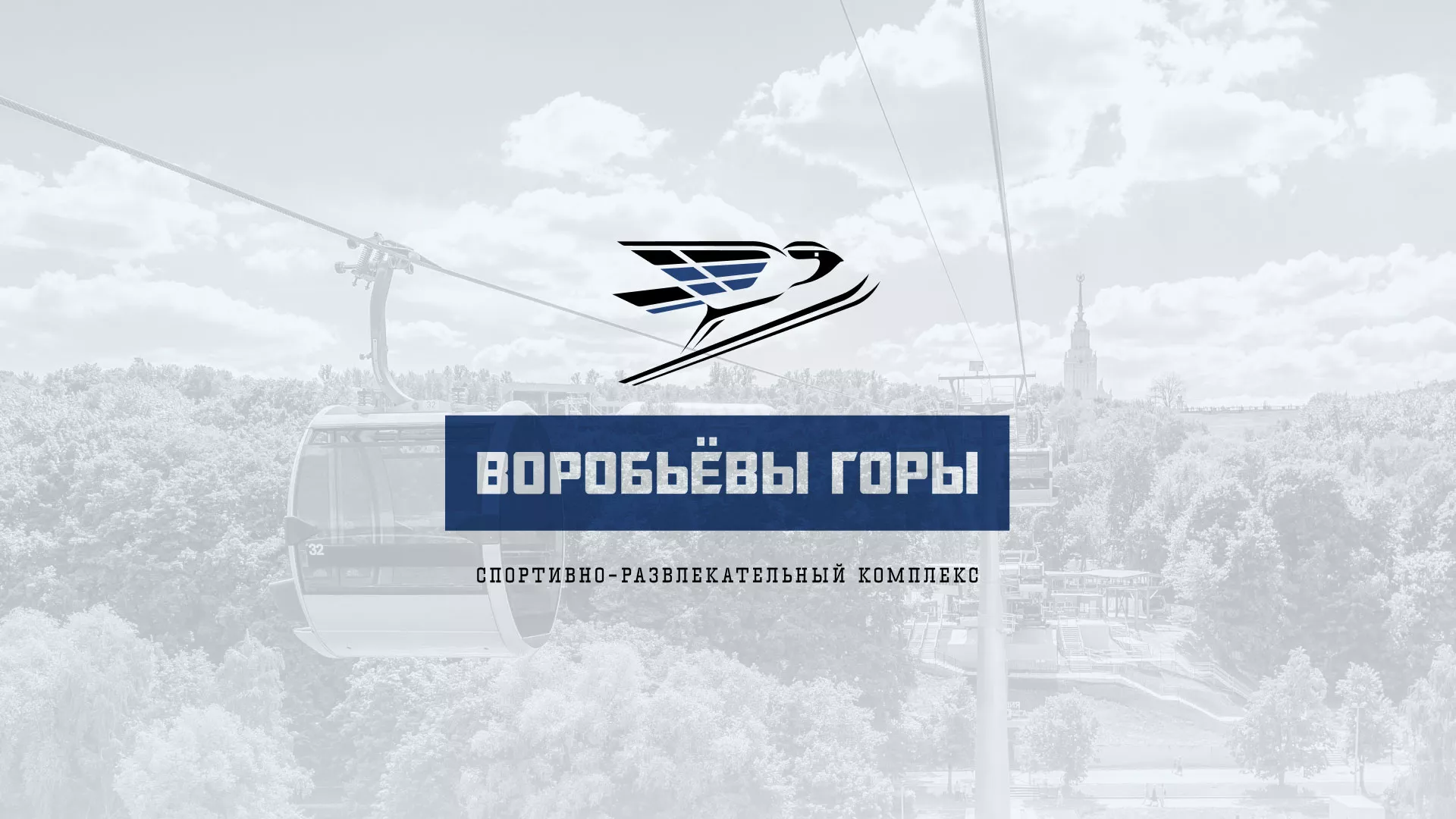 Разработка сайта в Менделеевске для спортивно-развлекательного комплекса «Воробьёвы горы»